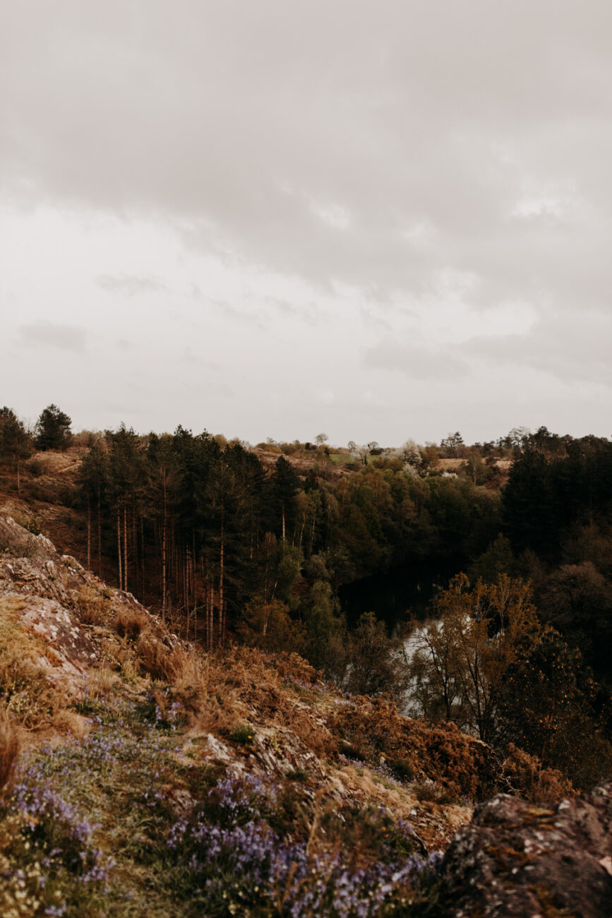 Photographe automne Rennes
